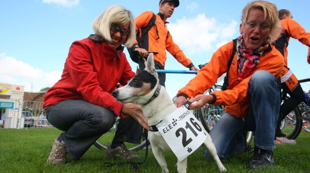 Einteilung der Läufe beim ELE-Triathlon 2025 abgeschlossen
